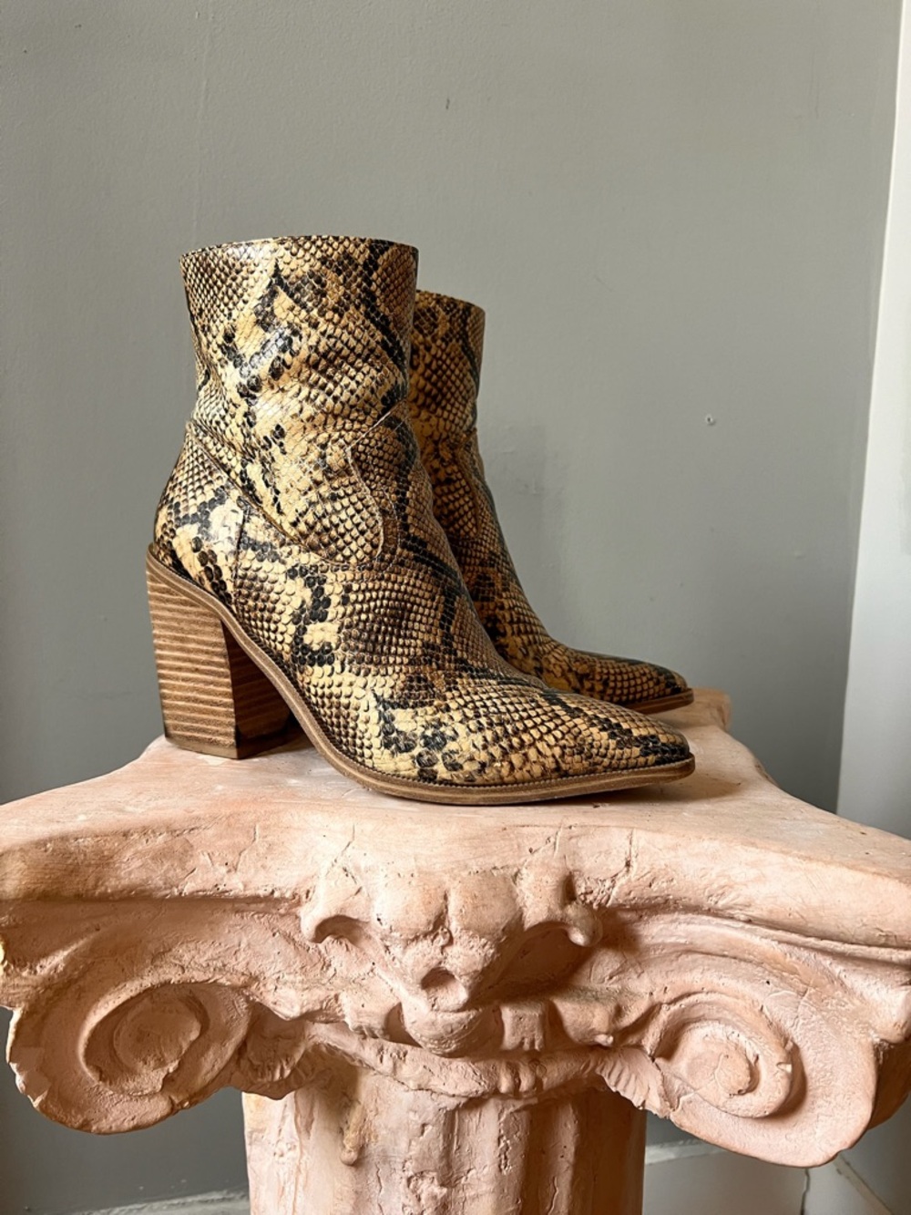 Steve Madden Elene pointed leather Snake-Print Block Heel Ankle Boots